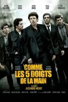 Affiche officielle du film Comme les 5 doigts de la main (2010) en French - HDLight - Regarder en streaming sur GauloisFlix