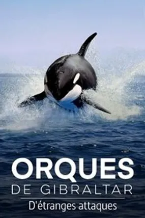 Affiche officielle du film Orques de Gibraltar : D'étranges attaques (2024) en TrueFrench - HDLight - Regarder en streaming sur GauloisFlix