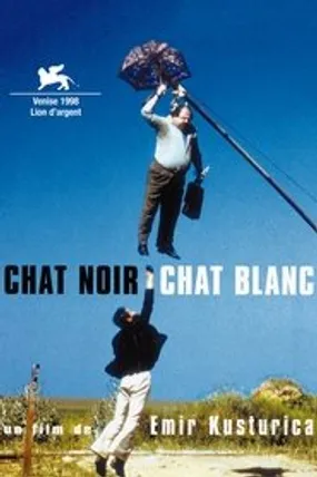 Affiche officielle du film Chat noir, chat blanc (1998) en TrueFrench - HDLight - Regarder en streaming sur GauloisFlix