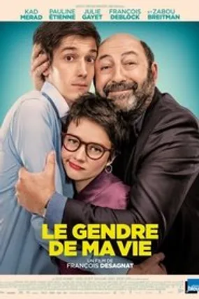 Affiche officielle du film Le Gendre de ma vie (2018) en TrueFrench - HDLight - Regarder en streaming sur GauloisFlix