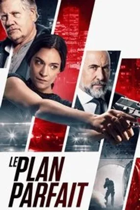 Affiche officielle du film Le Plan Parfait (2020) en TrueFrench - HDLight - Regarder en streaming sur GauloisFlix