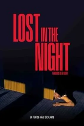 Affiche officielle du film Lost In The Night (2023) en VOSTFR - HDLight - Regarder en streaming sur GauloisFlix