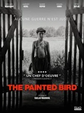 Affiche officielle du film L'Oiseau bariolé (2019) en VOSTFR - HDLight - Regarder en streaming sur GauloisFlix