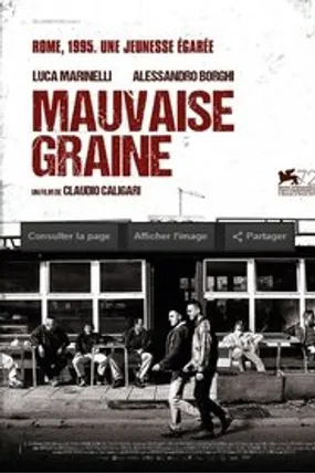 Affiche officielle du film Mauvaise graine (2015) en French - Regarder en streaming sur GauloisFlix