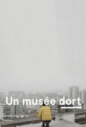 Affiche officielle du film Un musée dort (2020) en French - DVDSCR - Regarder en streaming sur GauloisFlix