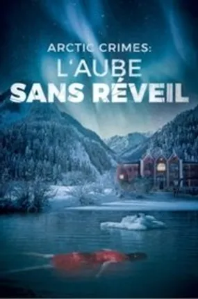 Affiche officielle du film Arctic Crimes : L'aube Sans Réveil (2016) en TrueFrench - HDLight - Regarder en streaming sur GauloisFlix