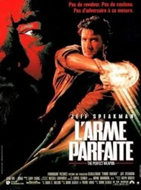 Affiche officielle du film L'Arme parfaite (1991) en TrueFrench - HDLight - Regarder en streaming sur GauloisFlix