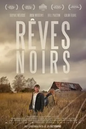 Affiche officielle du film Mean Dreams (2016) en TrueFrench - DVDRIP - Regarder en streaming sur GauloisFlix