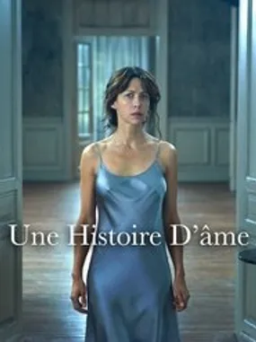Affiche officielle du film Une histoire d'âme (2015) en French - HDLight - Regarder en streaming sur GauloisFlix
