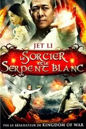 Affiche officielle du film Le Sorcier et le Serpent blanc (2011) en French - HDLight - Regarder en streaming sur GauloisFlix