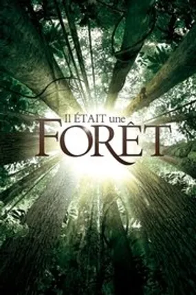 Affiche officielle du film Il était une forêt (2013) en French - Regarder en streaming sur GauloisFlix