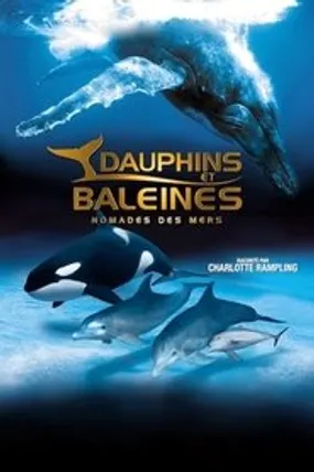 Affiche officielle du film IMAX Dauphins et baleines : Nomades des mers (2008) en TrueFrench - HDLight - Regarder en streaming sur GauloisFlix