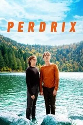 Affiche officielle du film Perdrix (2019) en French - HDLight - Regarder en streaming sur GauloisFlix
