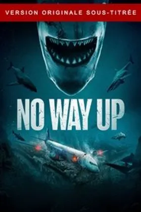 Affiche officielle du film No Way Up (2024) en TrueFrench - HDLight - Regarder en streaming sur GauloisFlix