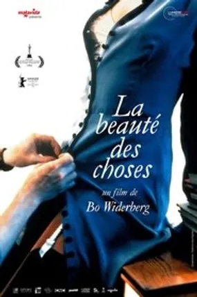 Affiche officielle du film La Beauté des choses (1995) en VOSTFR - HDLight - Regarder en streaming sur GauloisFlix