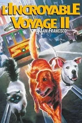 Affiche officielle du film L'incroyable voyage II : À San Francisco (1996) en TrueFrench - HDLight - Regarder en streaming sur GauloisFlix