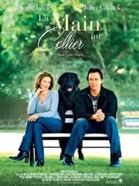 Affiche officielle du film La Main au collier (2005) en TrueFrench - HDLight - Regarder en streaming sur GauloisFlix