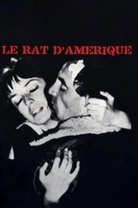 Affiche officielle du film Le Rat d'Amérique (1963) en French - Regarder en streaming sur GauloisFlix