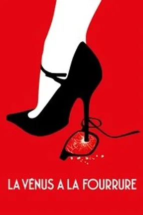 Affiche officielle du film La Vénus à la fourrure (2013) en TrueFrench - HDLight - Regarder en streaming sur GauloisFlix