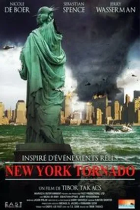 Affiche officielle du film Tornades sur New York (2008) en French - Regarder en streaming sur GauloisFlix