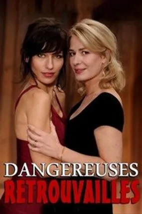 Affiche officielle du film Dangereuses retrouvailles (2013) en French - Regarder en streaming sur GauloisFlix