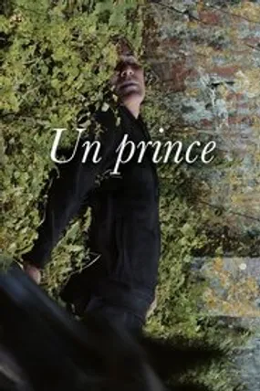 Affiche officielle du film Un prince (2023) en French - HDLight - Regarder en streaming sur GauloisFlix