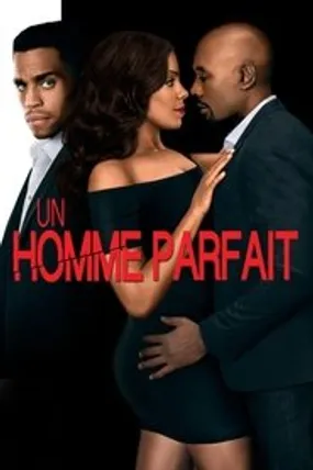 Affiche officielle du film Un homme parfait (2015) en French - Regarder en streaming sur GauloisFlix