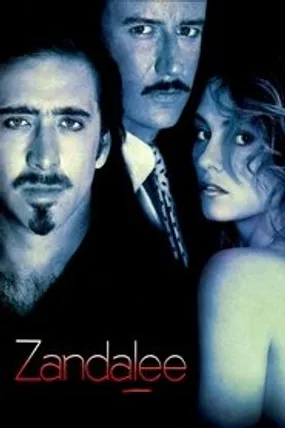 Affiche officielle du film Zandalee (1991) en French - HDLight - Regarder en streaming sur GauloisFlix