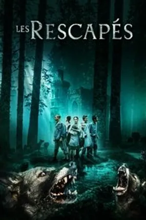 Affiche officielle du film Les Rescapés (2019) en French - Regarder en streaming sur GauloisFlix