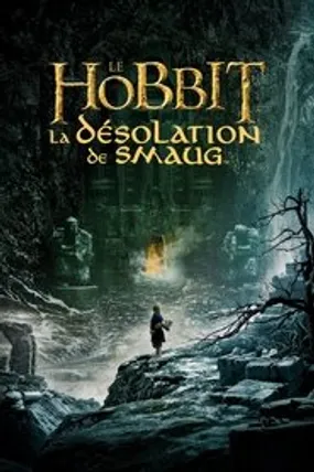 Affiche officielle du film Le Hobbit : La Désolation de Smaug (2013) en TrueFrench - HDLight - Regarder en streaming sur GauloisFlix
