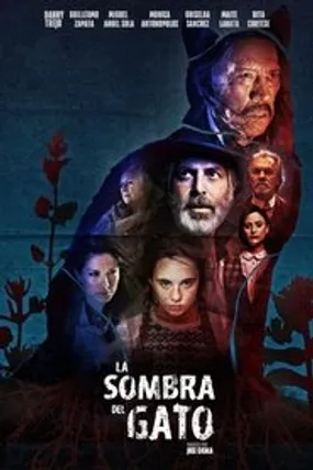 Affiche officielle du film La sombra del gato (2021) en French - Bdrip LD - Regarder en streaming sur GauloisFlix