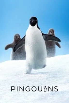 Affiche officielle du film Pingouins (2019) en French - HDLight - Regarder en streaming sur GauloisFlix