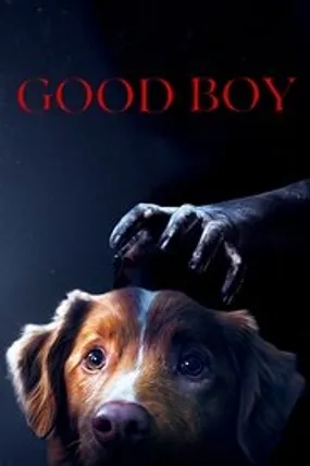Affiche officielle du film Good Boy (2025) en VOSTFR - DVDSCR - Regarder en streaming sur GauloisFlix