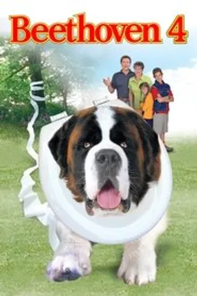 Affiche officielle du film Beethoven 4 (2001) en TrueFrench - HDLight - Regarder en streaming sur GauloisFlix