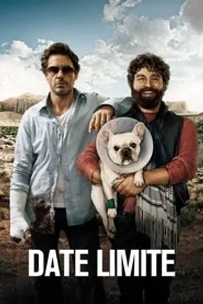 Affiche officielle du film Date Limite (2010) en TrueFrench - HDLight - Regarder en streaming sur GauloisFlix