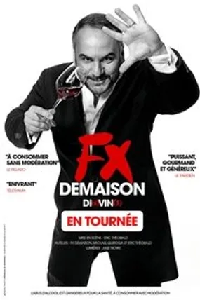 Affiche officielle du film Francois-Xavier Demaison : Di(x)vin(s) (2025) en TrueFrench - HDLight - Regarder en streaming sur GauloisFlix