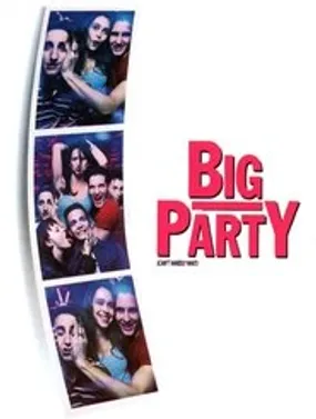 Affiche officielle du film Big Party (1998) en TrueFrench - HDLight - Regarder en streaming sur GauloisFlix