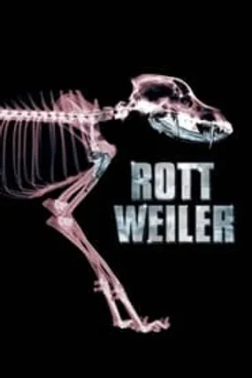 Affiche officielle du film Rottweiler (2004) en TrueFrench - HDLight - Regarder en streaming sur GauloisFlix