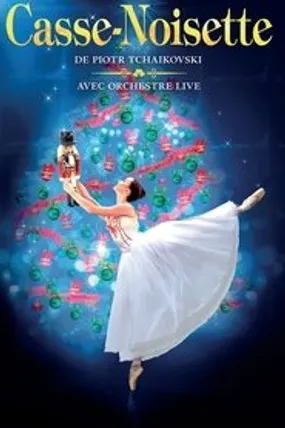 Affiche officielle du film Casse-Noisette (2011) en TrueFrench - HDLight - Regarder en streaming sur GauloisFlix