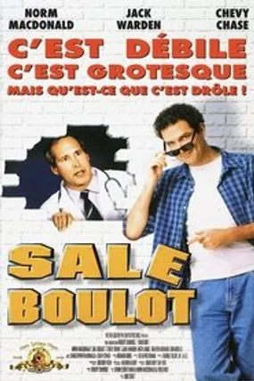 Affiche officielle du film Sale Boulot (1998) en TrueFrench - HDLight - Regarder en streaming sur GauloisFlix