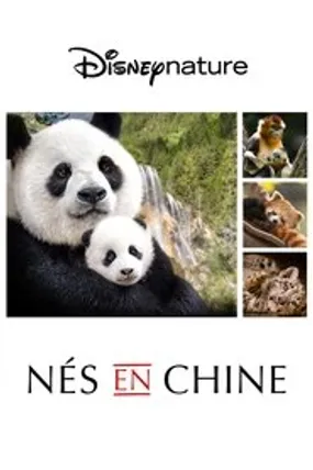 Affiche officielle du film Nés en Chine (2016) en TrueFrench - HDLight - Regarder en streaming sur GauloisFlix