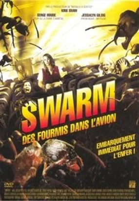 Affiche officielle du film Danger en altitude (2007) en TrueFrench - HDLight - Regarder en streaming sur GauloisFlix