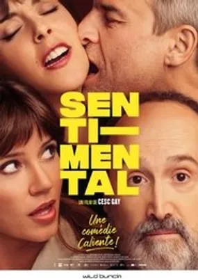 Affiche officielle du film Sentimental (2020) en TrueFrench - HDLight - Regarder en streaming sur GauloisFlix