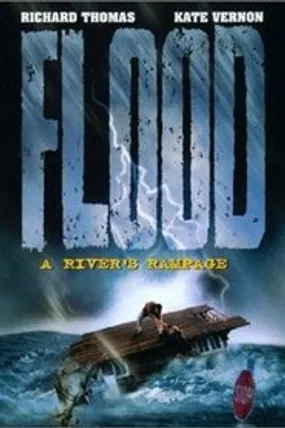 Affiche officielle du film Inondations : Un fleuve en colère (1997) en French - Regarder en streaming sur GauloisFlix