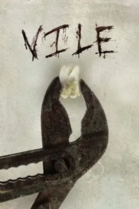 Affiche officielle du film Vile (2011) en VOSTFR - DVDRIP - Regarder en streaming sur GauloisFlix