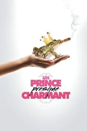Affiche officielle du film Un Prince (presque) charmant (2013) en French - HDLight - Regarder en streaming sur GauloisFlix