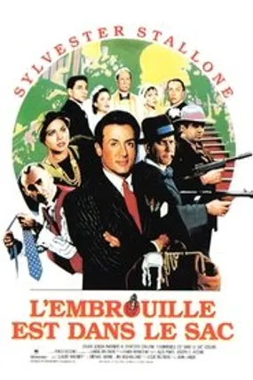 Affiche officielle du film L'embrouille est dans le sac (1991) en French - HDLight - Regarder en streaming sur GauloisFlix