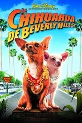 Affiche officielle du film Le Chihuahua de Beverly Hills (2008) en TrueFrench - HDLight - Regarder en streaming sur GauloisFlix