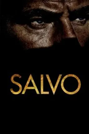 Affiche officielle du film Salvo (2013) en TrueFrench - HDLight - Regarder en streaming sur GauloisFlix