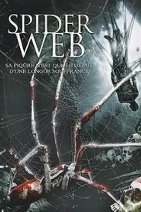 Affiche officielle du film Spider Web (2007) en French - DVDRIP - Regarder en streaming sur GauloisFlix